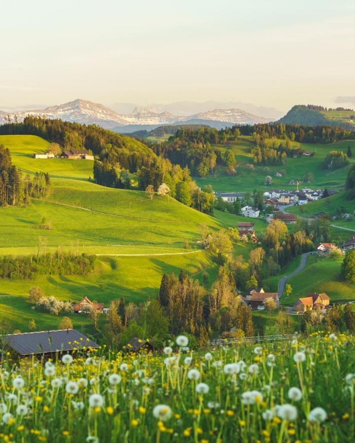 Kronelodge - Self-Check-In Hotel Mosnang Zewnętrze zdjęcie